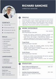 best cv format experience